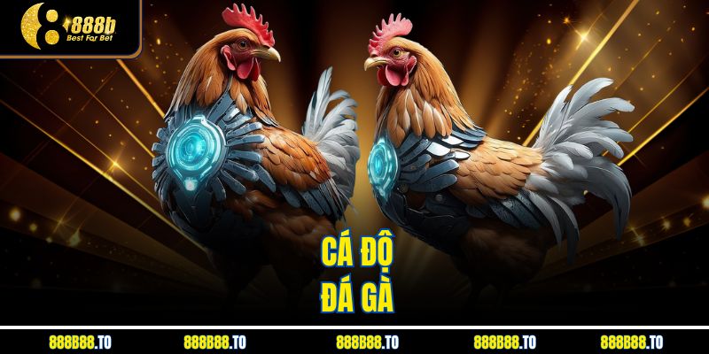 Cá độ đá gà