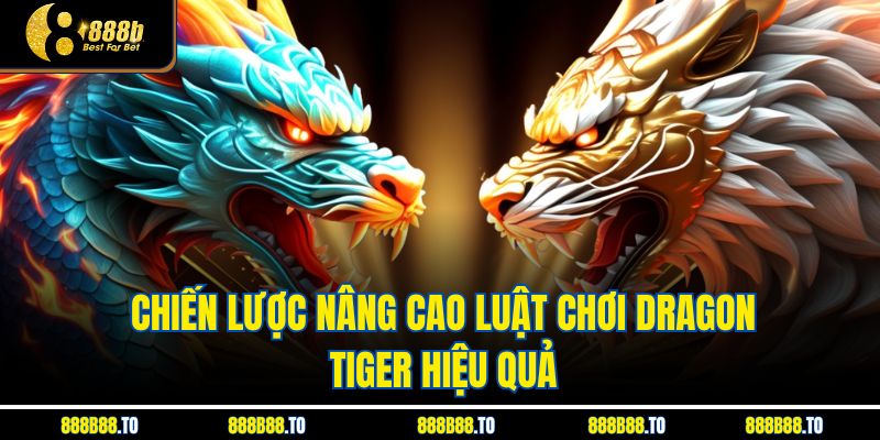 Chiến lược nâng cao Luật Chơi Dragon Tiger hiệu quả