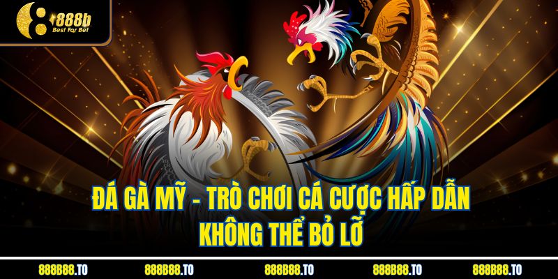 Đá Gà Mỹ – Trò Chơi Cá Cược Hấp Dẫn Không Thể Bỏ Lỡ