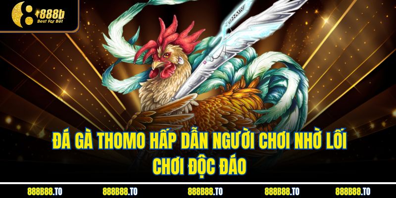 Đá Gà Thomo hấp dẫn người chơi nhờ lối chơi độc đáo