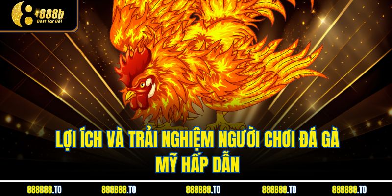 Lợi ích và trải nghiệm người chơi Đá Gà Mỹ hấp dẫn